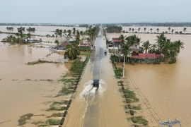 Philippines lệnh sơ tán ở hàng nghìn ngôi làng, chuẩn bị đón bão Nika